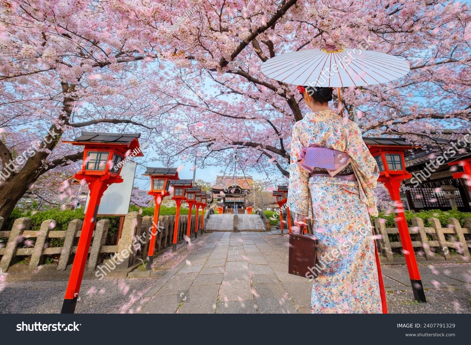 Young Japanese woman in traditional Kimono dress at Rokusonno shrine during full bloom cherry blossom period in Kyoto, Japan #2407791329