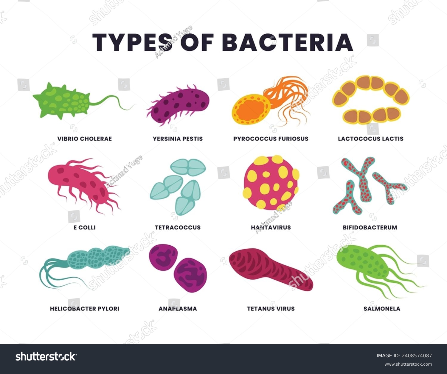 Set Of Different Types Of Bacteria, Bacteria And - Royalty Free Stock ...