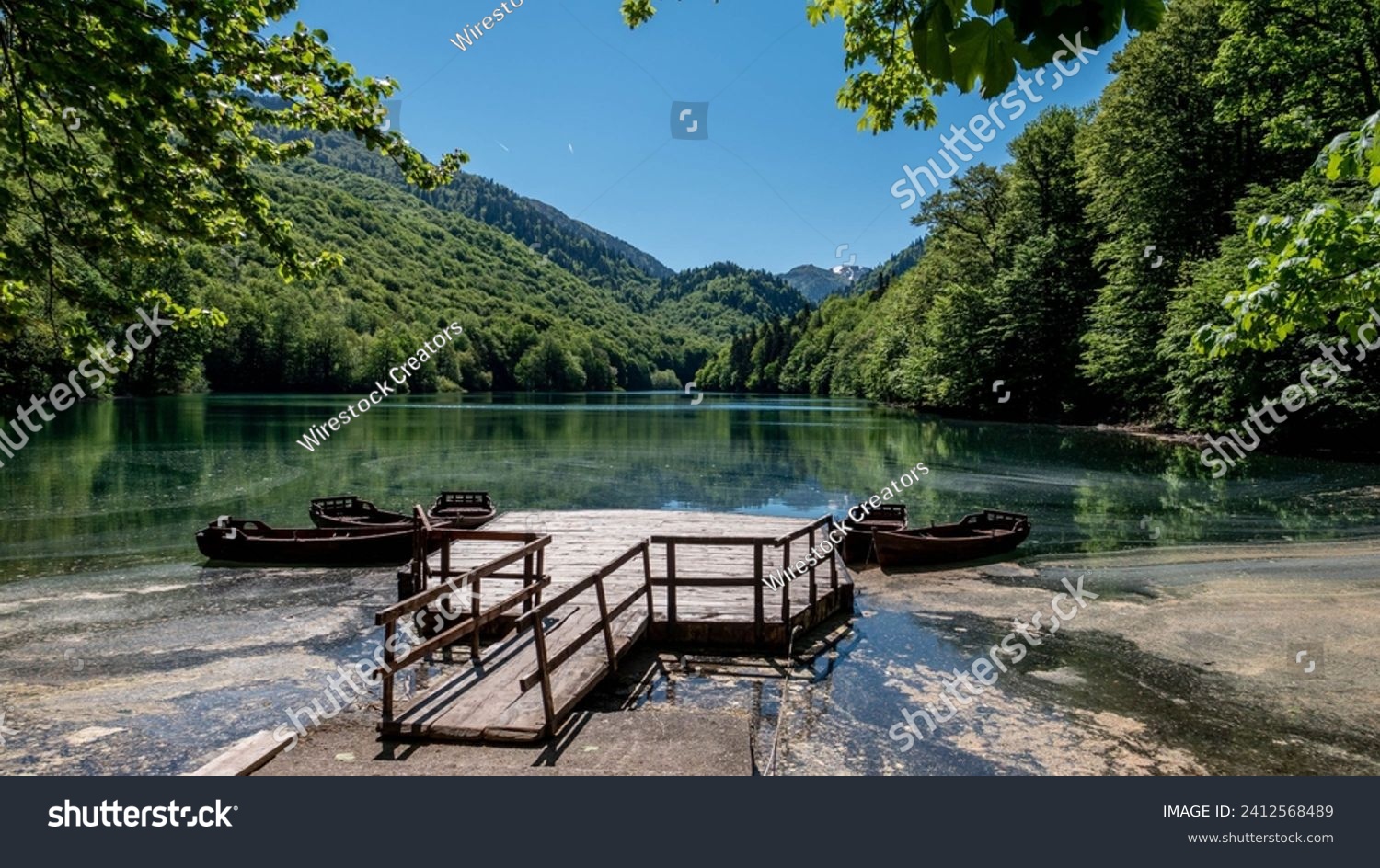 A scenic view of the Biogradska Gora national park in Montenegro. #2412568489