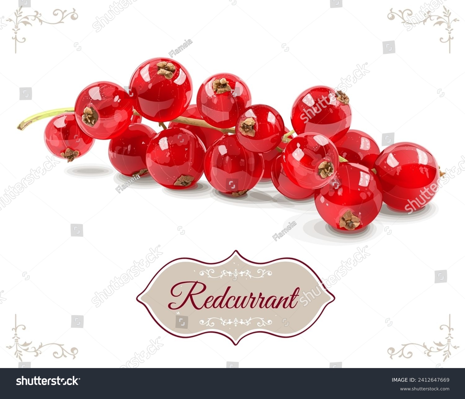 Realistic red currant branch isolated on white background. Vegetarian organic food. Vector Illustration. #2412647669