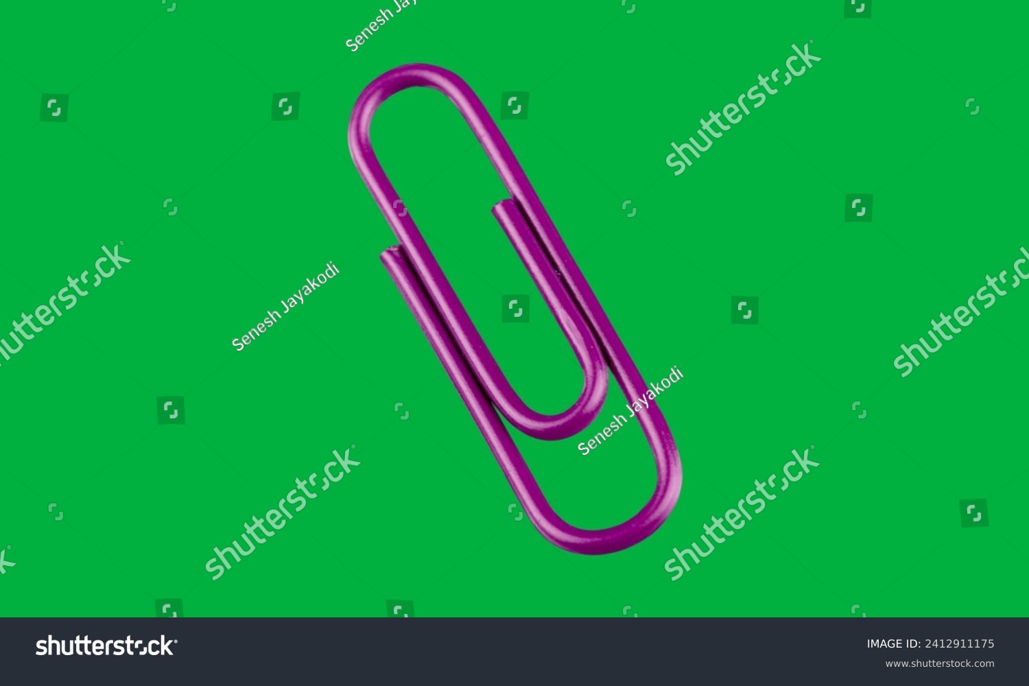 One single purple paper clip on green screen  #2412911175