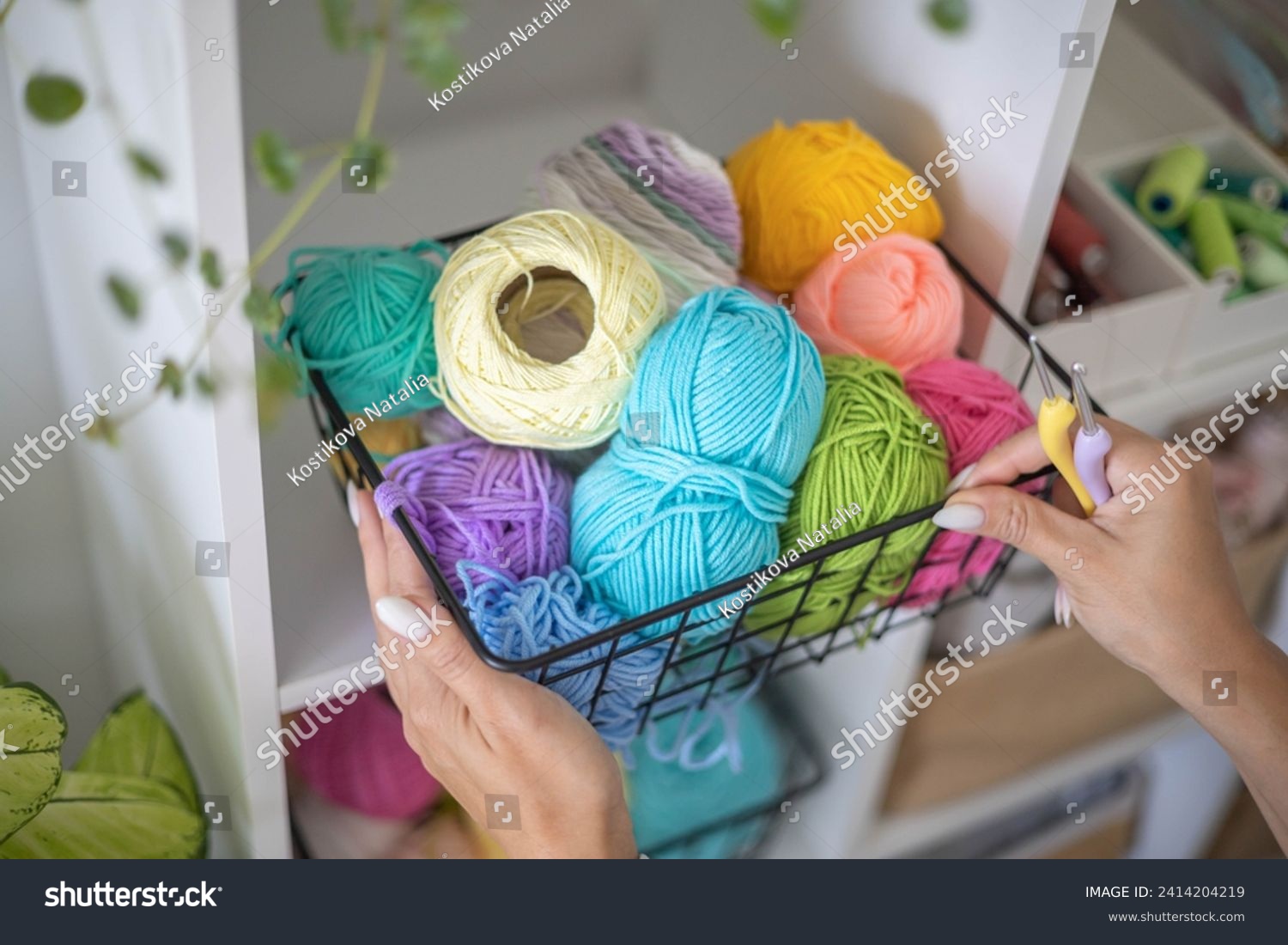 Female hands placing basket with colored ball of yarn for art crochet knitting ribbon cotton wool thread for hobby. Woman tailor sewing materials comfortable storage cupboard arrangement organize #2414204219