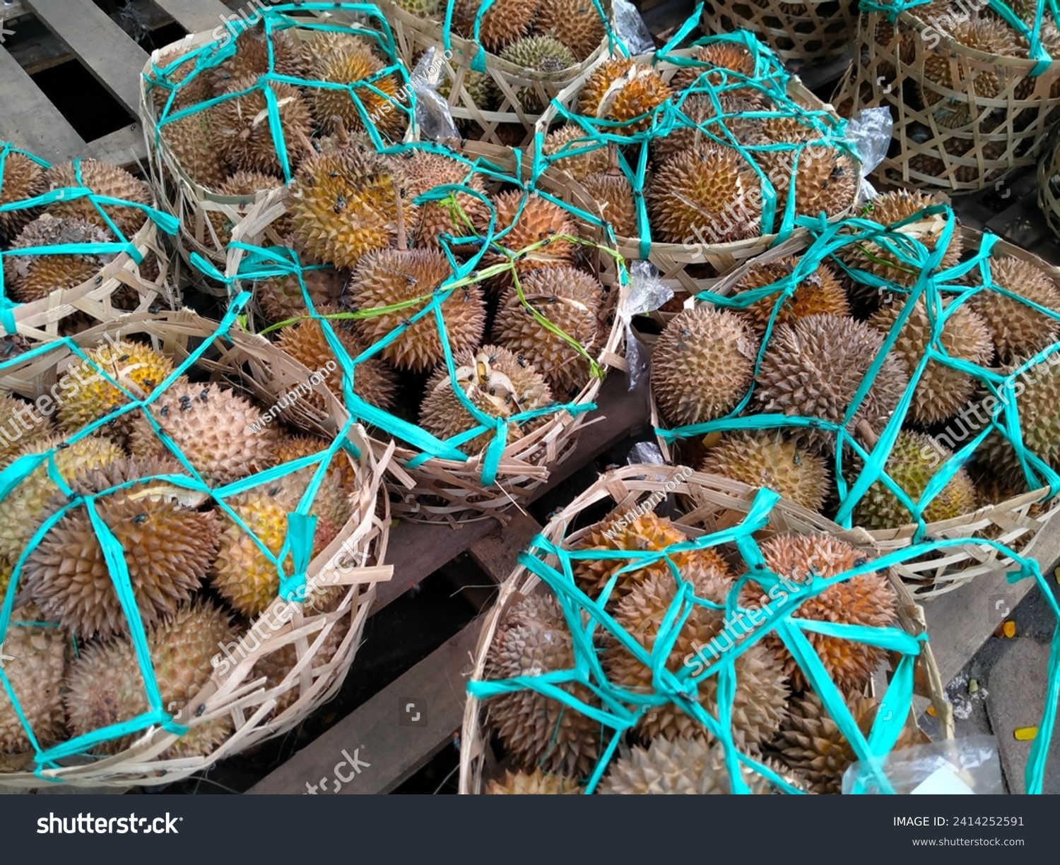 Group of fresh durians in the durian market. #2414252591