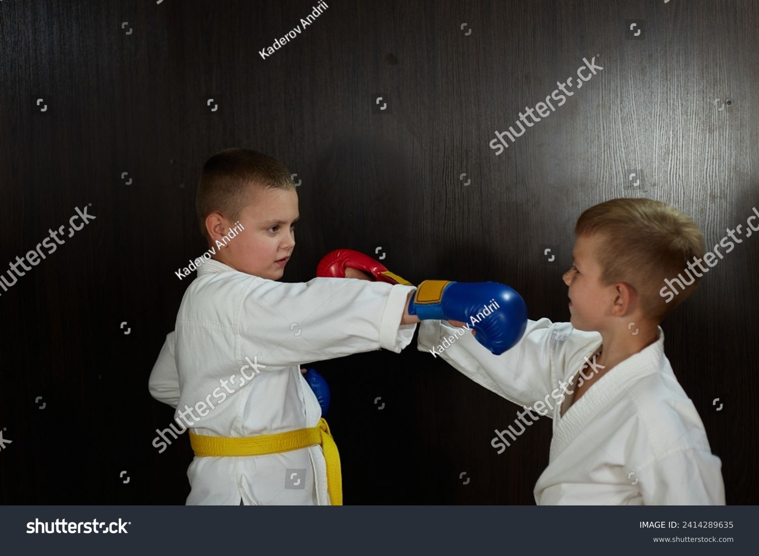 Two athlete boys in karategi with red and blue pads on their hands perform punches towards each other #2414289635
