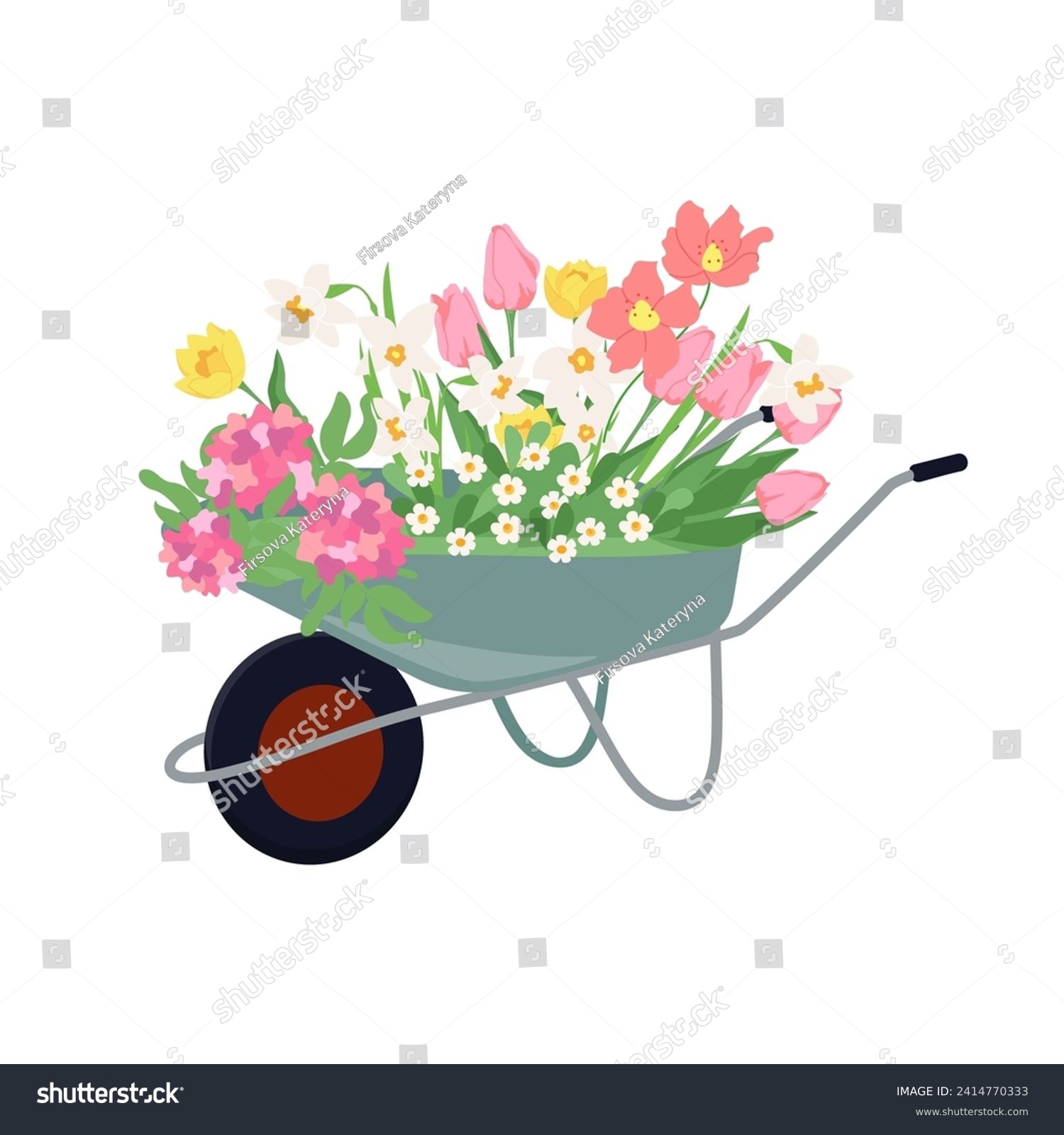 Flower garden cart with early spring flowers. Floral design elements for mother's day, Valentine's Day, birthday. Vector illustration wheelbarrow flat style isolated on white background. #2414770333