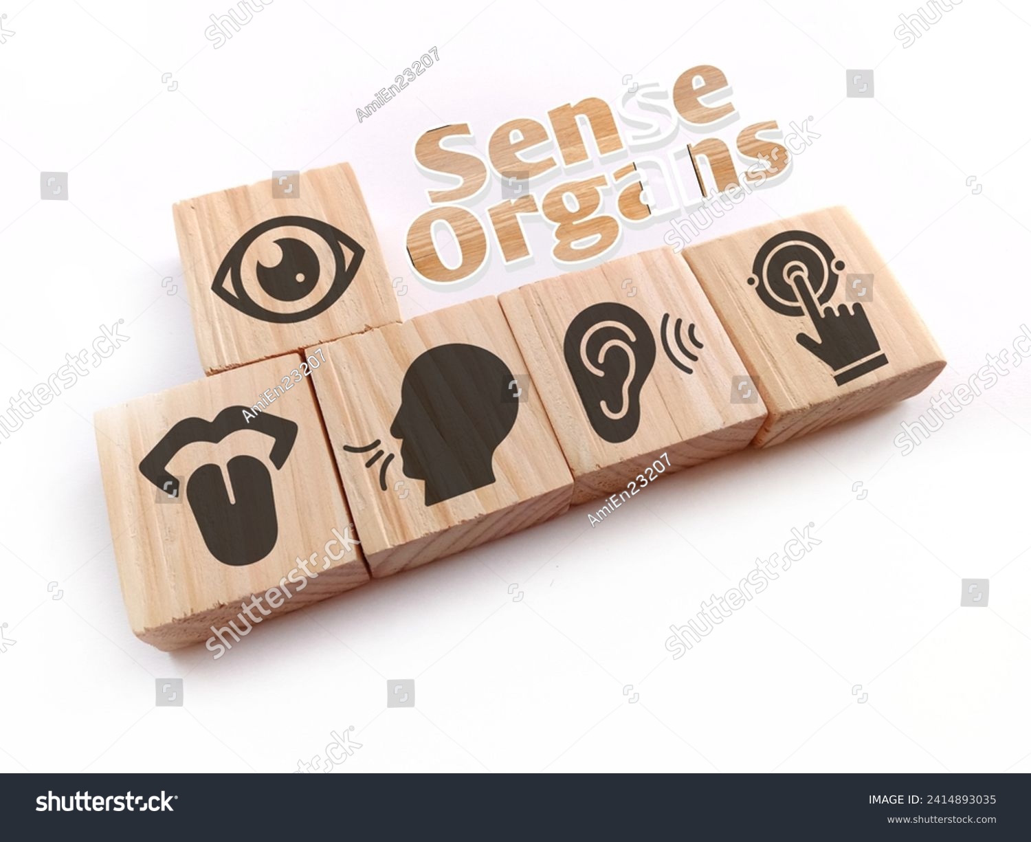 Wooden with five Sense organs icons namely sight, hearing, smell, teste and touch. basic 5 human senses #2414893035