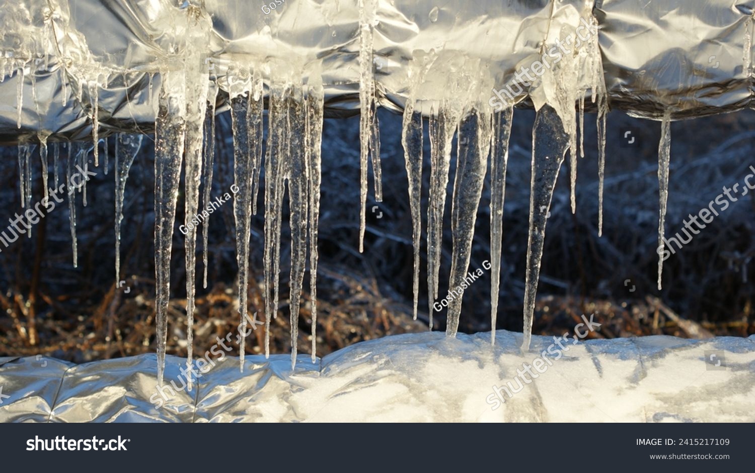 A close-up view of icicles hanging from a surface, glistening in the sunlight Below the icicles, snow is accumulated, reflecting the chilly atmosphere. #2415217109