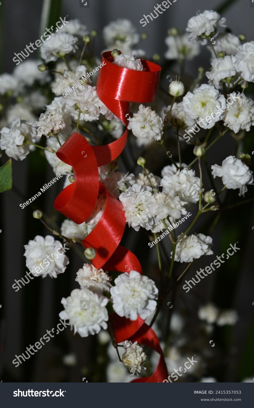 Small white flowers as decoration in bouquets, isolated. Red decorative tape. A close-up shot. #2415357053