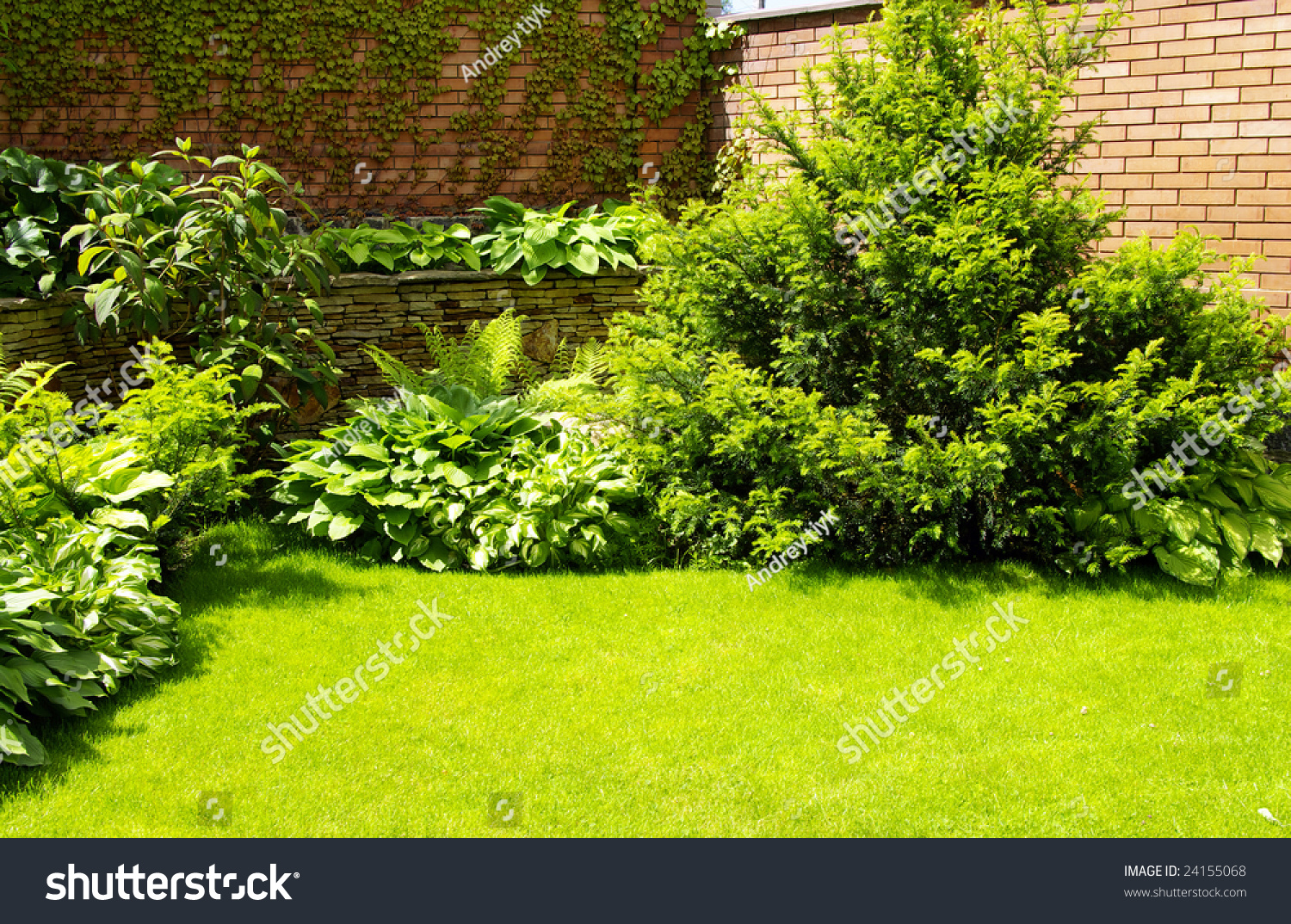A wall Garden with cipress and bushes #24155068
