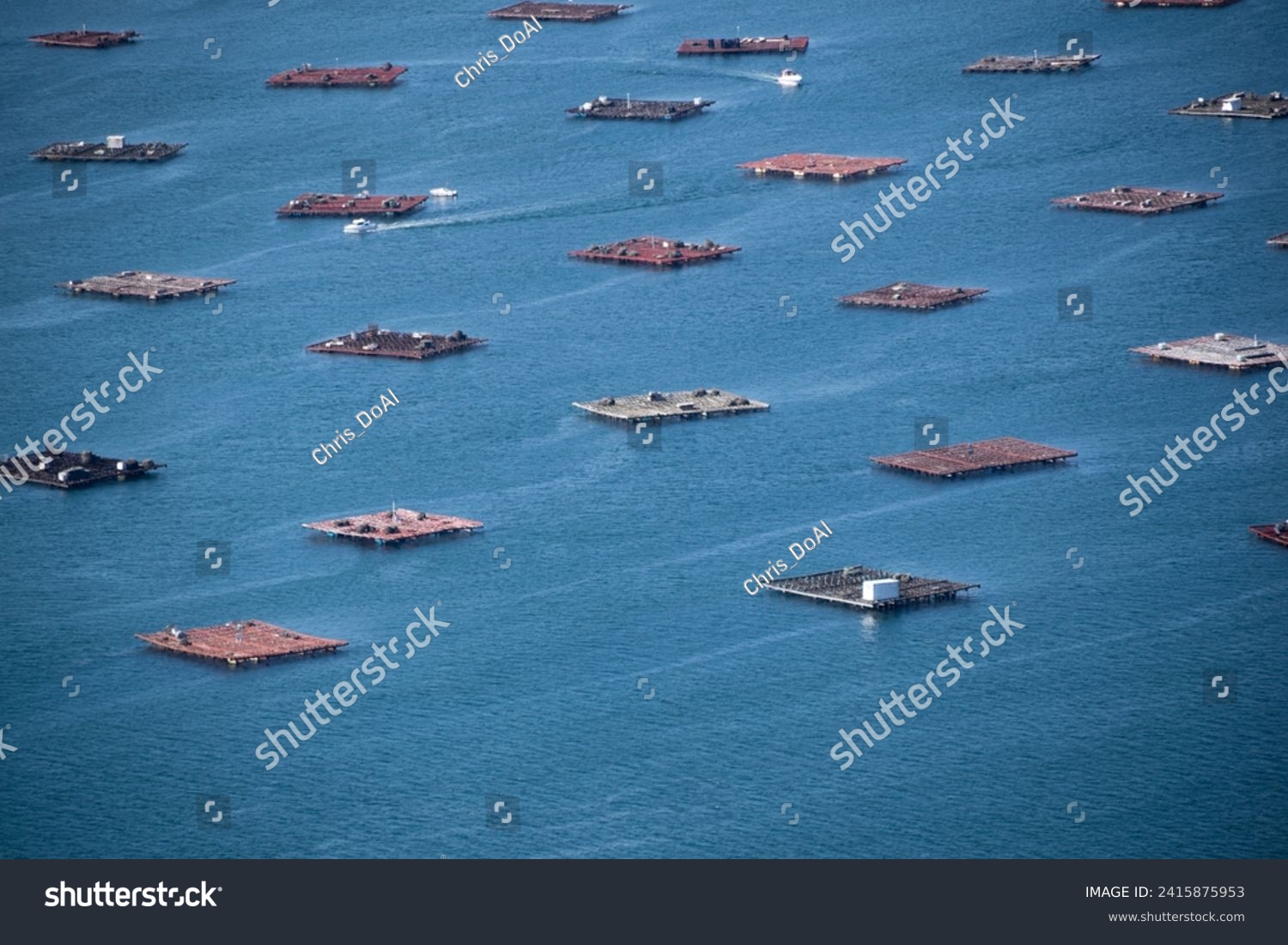 Aerial view of the mussels aquaculture rafts in Galicia - Spain #2415875953