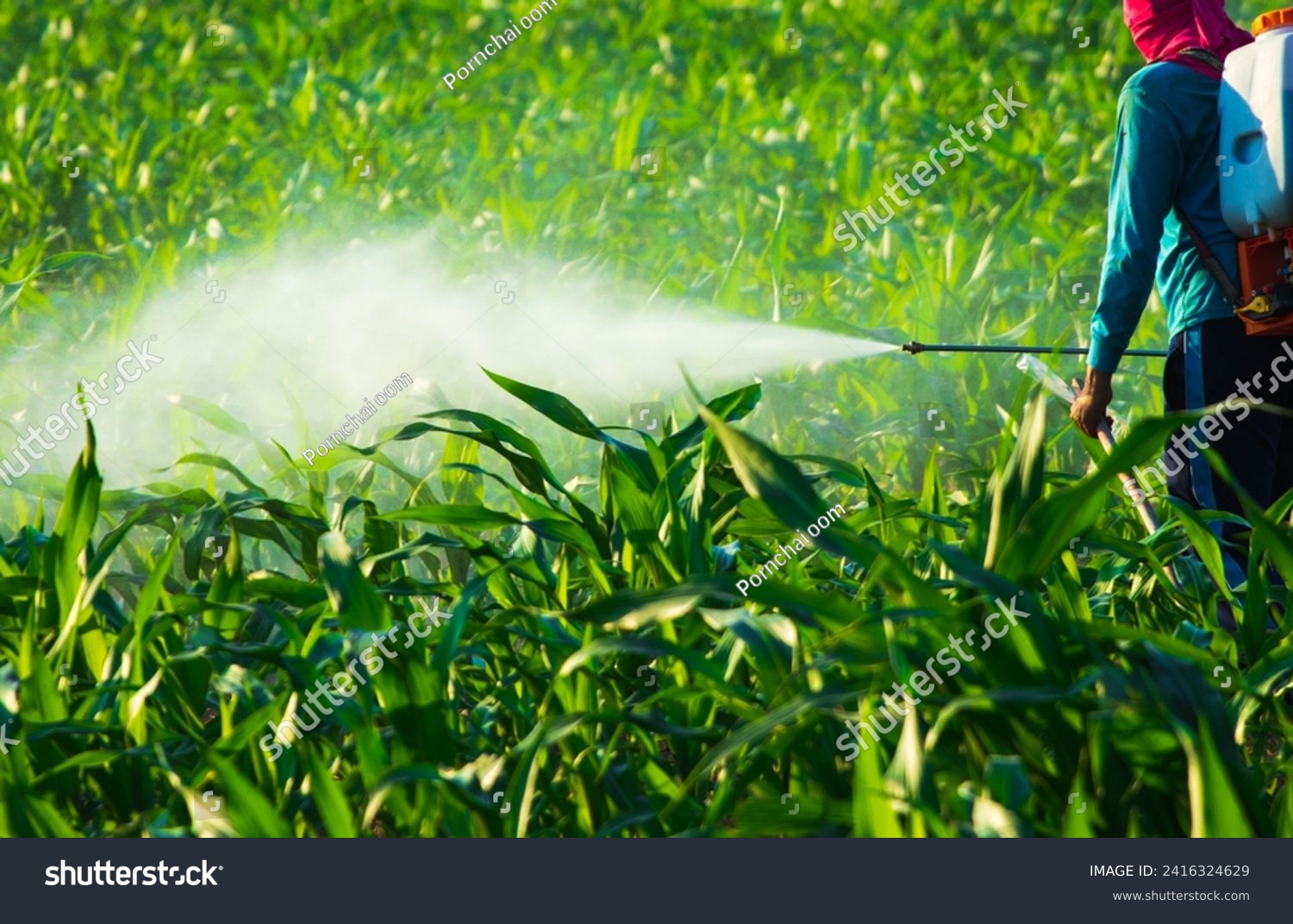 Failure to properly protect chemicals while spraying causes harm to the body, causing toxic residues that cause
Syncope is caused by a lack of oxygen in the body. #2416324629