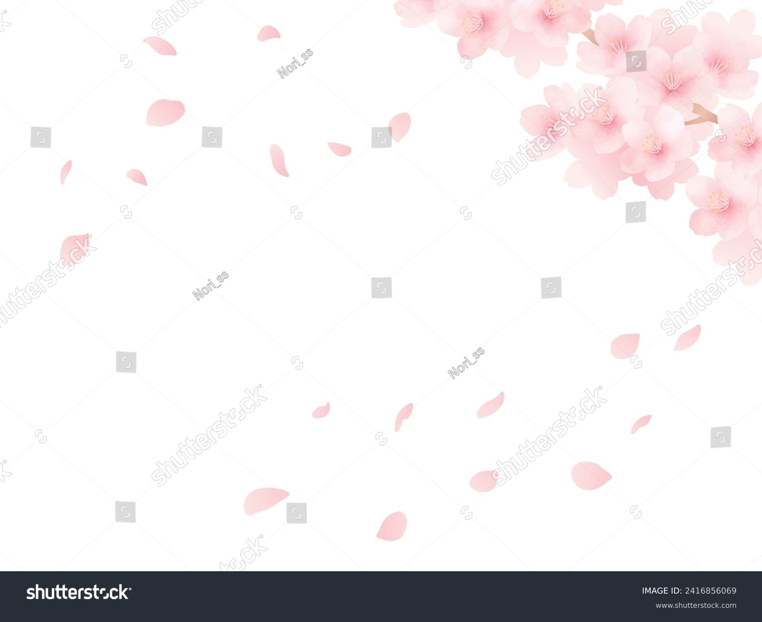 Background of cherry blossoms in full bloom and petals. Watercolor illustration. #2416856069