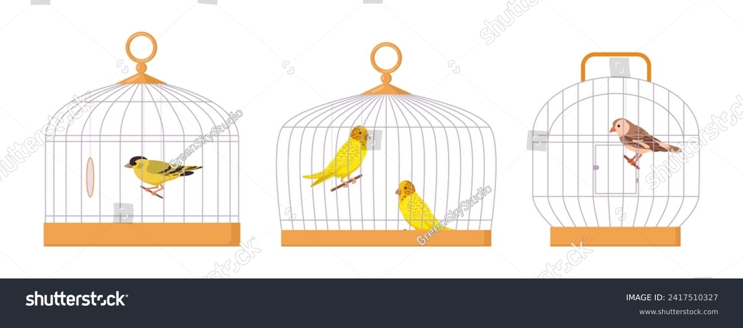 Domestic birds in iron cages. Cartoon bird cages - Royalty Free Stock ...