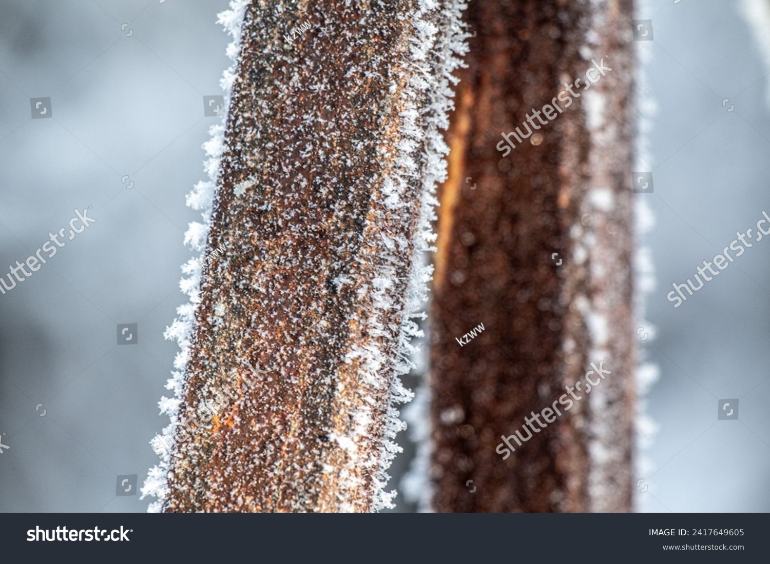 The rusty metal, covered with frost, froze. #2417649605