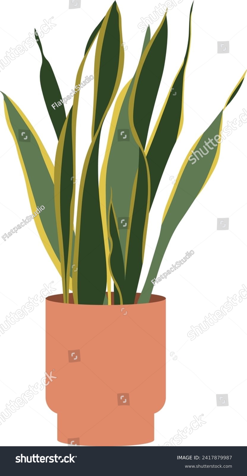 Mother in Law's Tongue Snake Plant Flat Vector - Royalty Free Stock ...