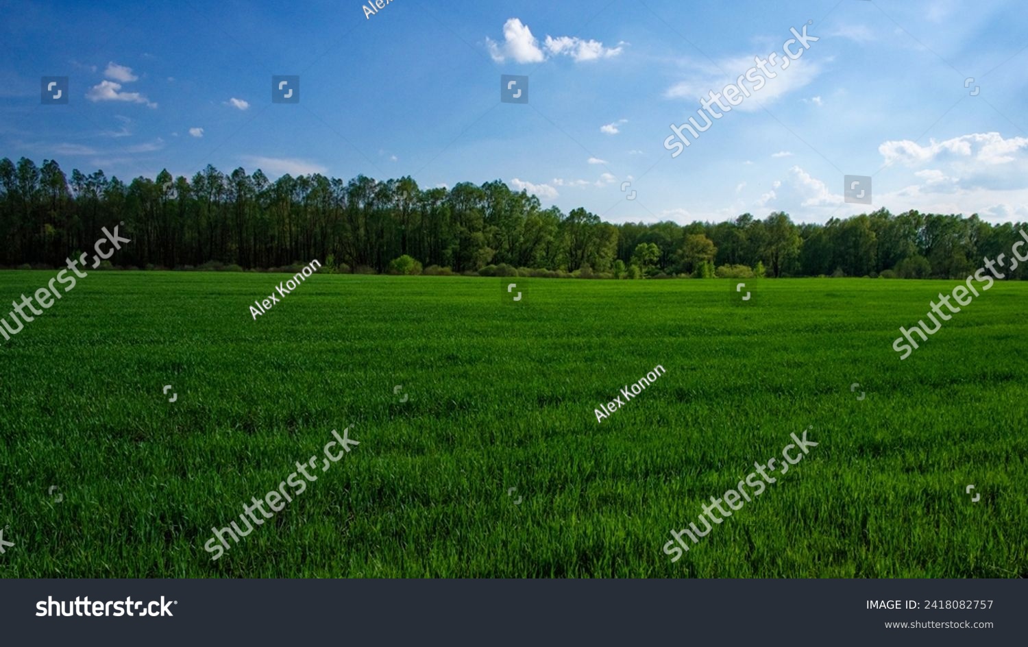 A vast green field under a blue sky with scattered clouds, bordered by a dense forest. #2418082757