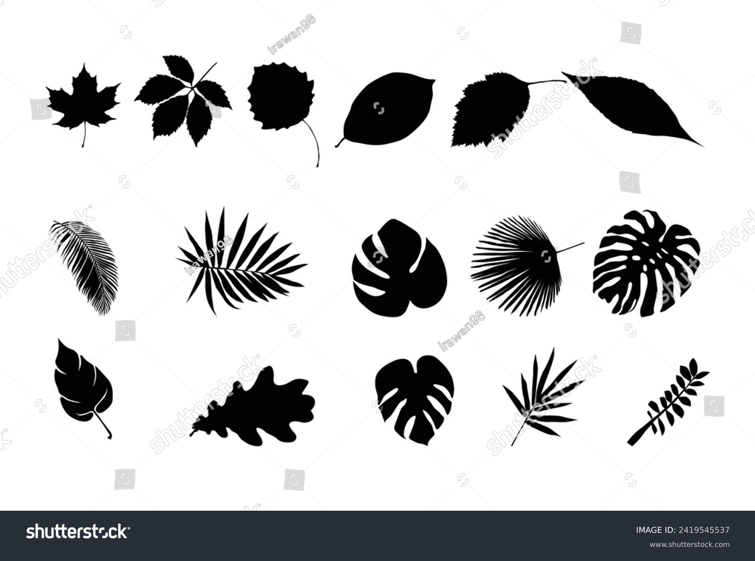 Set of Tropical leaf silhouette icon logo template vector illustration design #2419545537