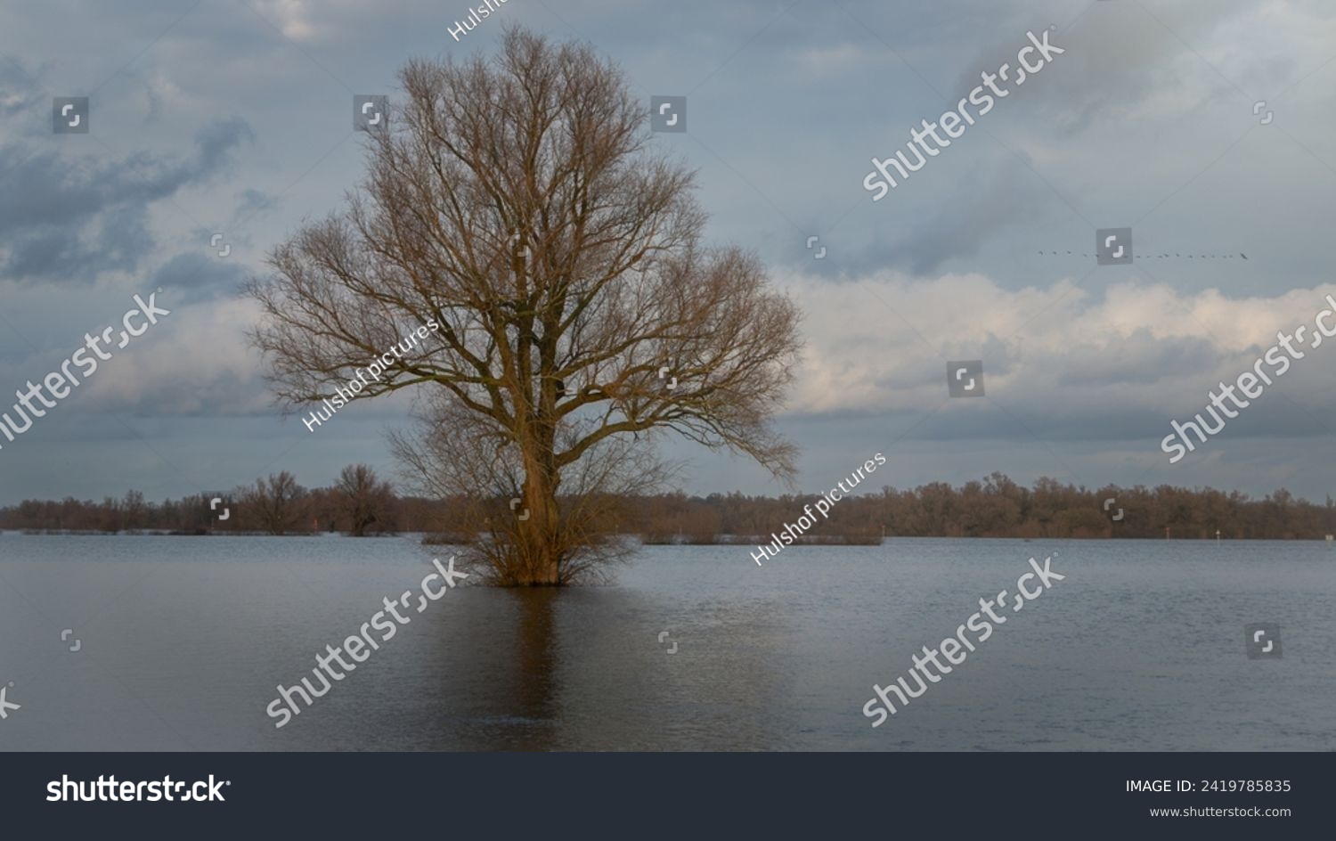 The flooded floodplains and the many hiking trails during weeks of heavy downpour, caused by climate change, near the rain river IJssel in the province of Overijssel, the Netherlands #2419785835