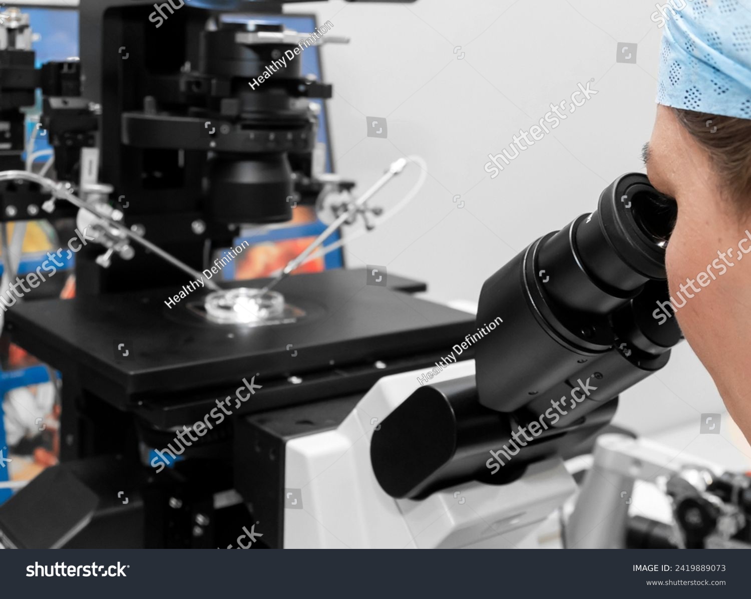 Embryologist adding sperm to egg in laboratory of reproductive clinic. in vitro fertilization, egg freezing. injects one sperm into each egg by microinjection. intracytoplasmic Sperm injection. IMSI #2419889073