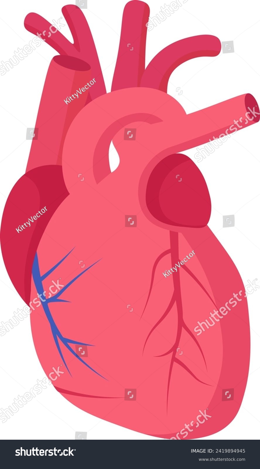 Stylized human heart anatomy, cartoon medical - Royalty Free Stock ...