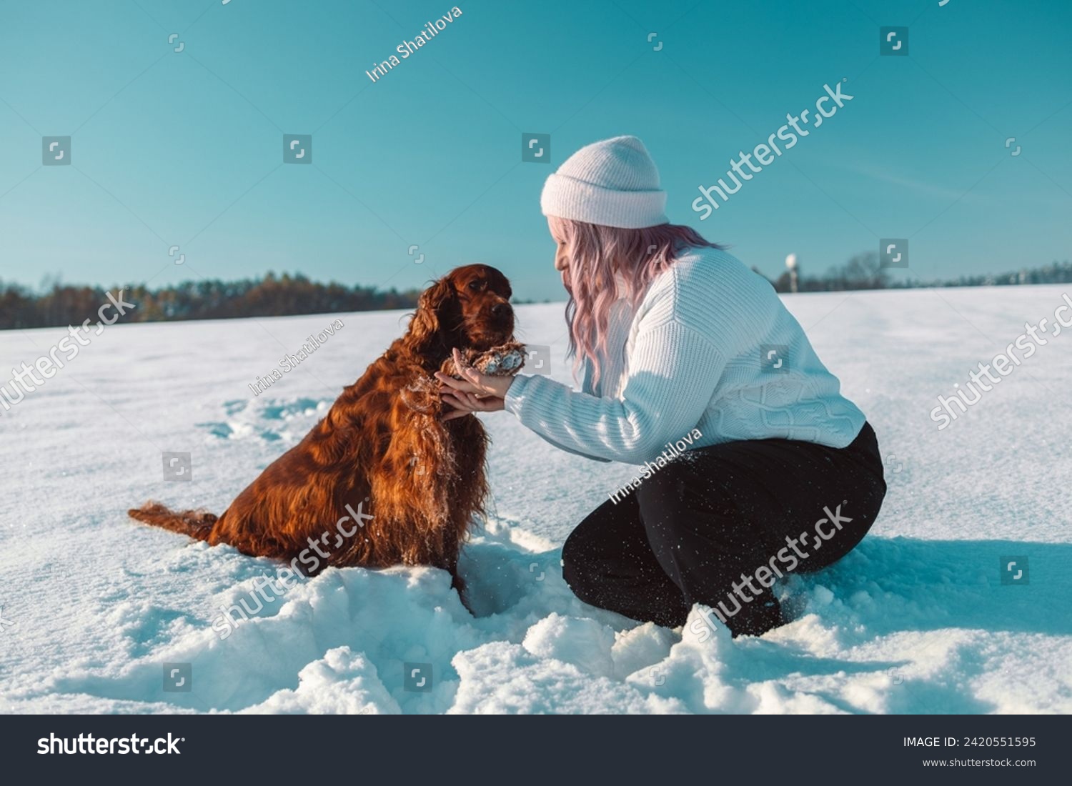 Christmas Day Happy young pink hair woman in warm clothes hugs her Irish setter dog in snowy winter forest outdoor at sunset. High quality FullHD footage #2420551595
