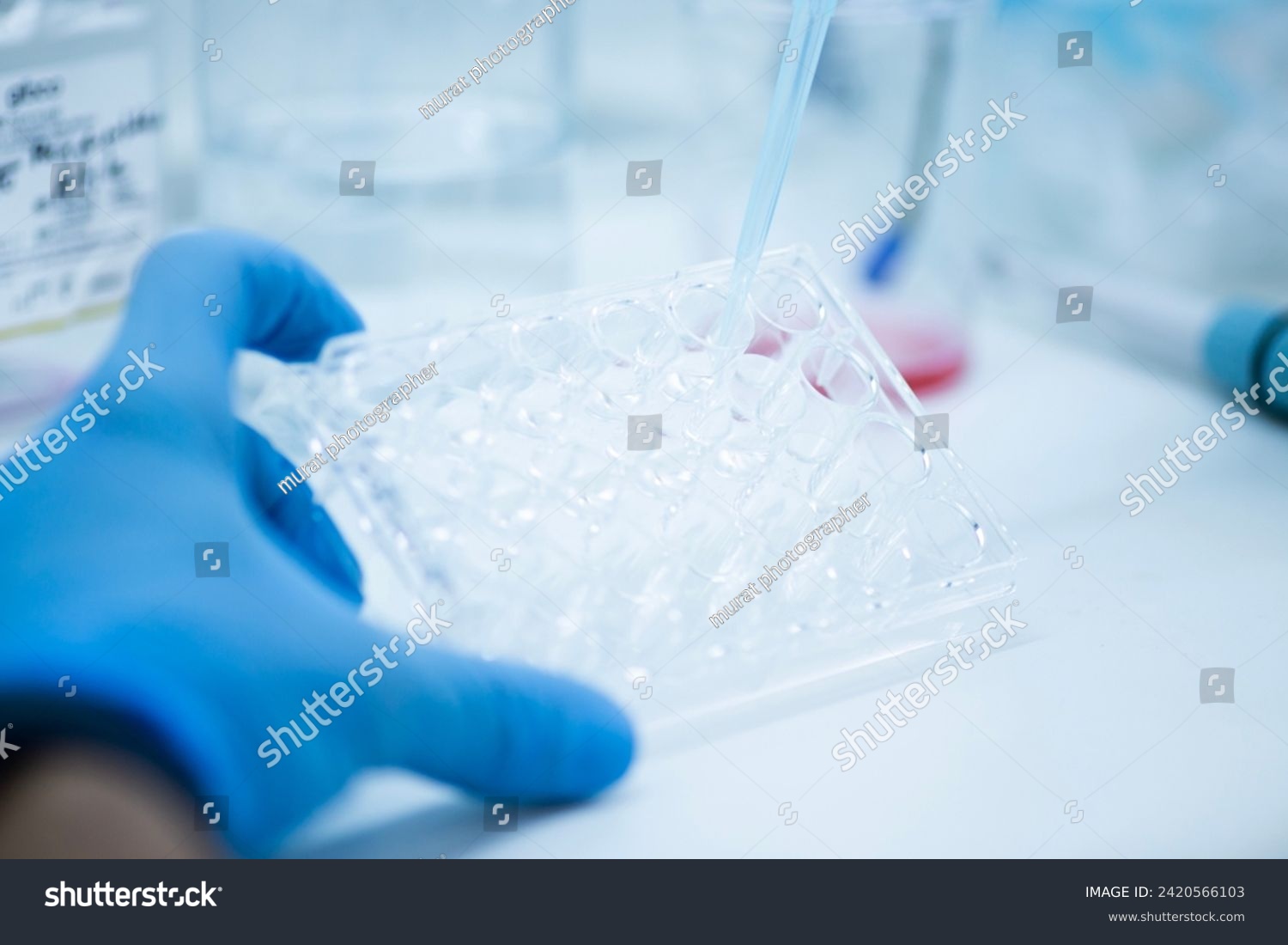 cell culture in the well plate, bioengineering laboratory #2420566103
