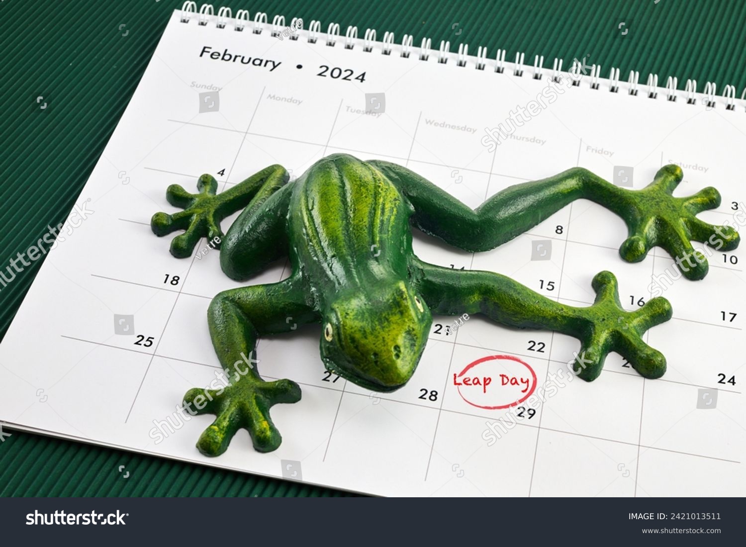 Happy Leap Day on 29 February with Jumping Frog #2421013511