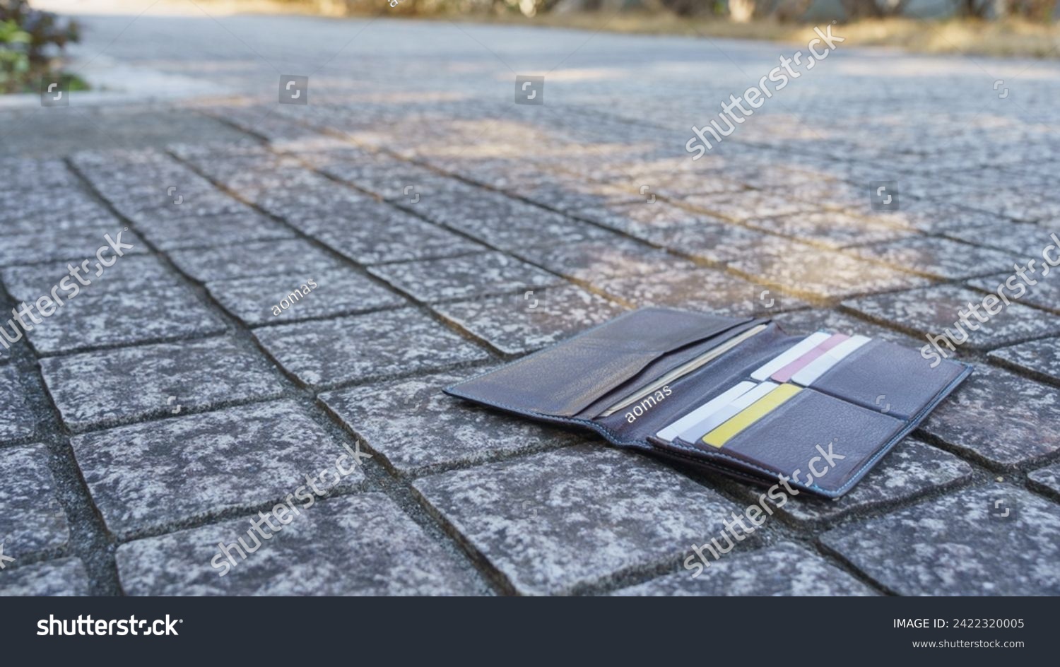 Image of dropping your wallet outdoors. #2422320005