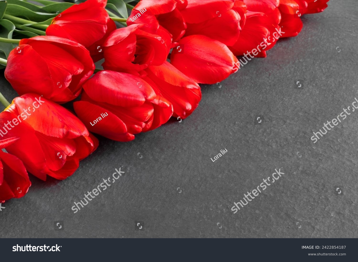 Bouquet of beautiful red tulips on black granite monument with empty space for text.

Flat lay creative mockup.

 #2422854187