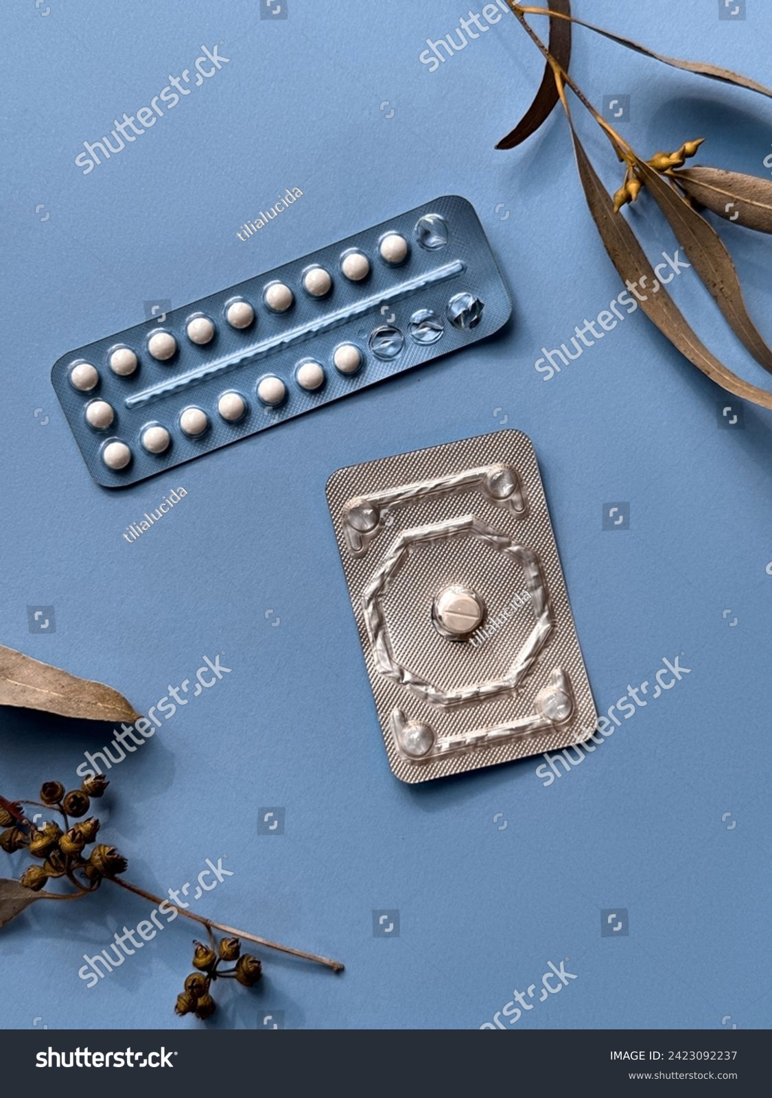Two different packs of contraceptive pills on colored paper background with eucalyptus leaves, overhead view. Monthly pack and a morning-after pill, illustrating concept of modern female health. #2423092237
