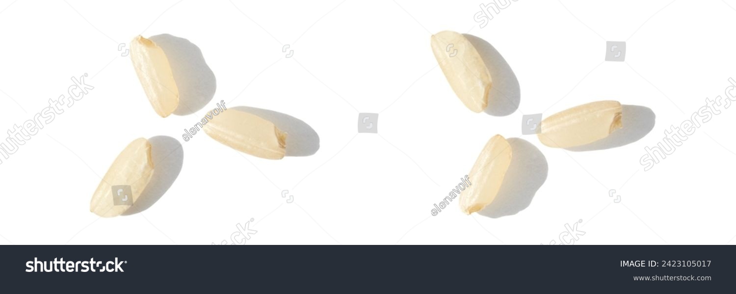 A top view captures the raw beauty of white basmati and brown rice grains. The macro closeup highlights their diverse textures, presenting a wholesome, nutritious food staple. Horizontal banner #2423105017