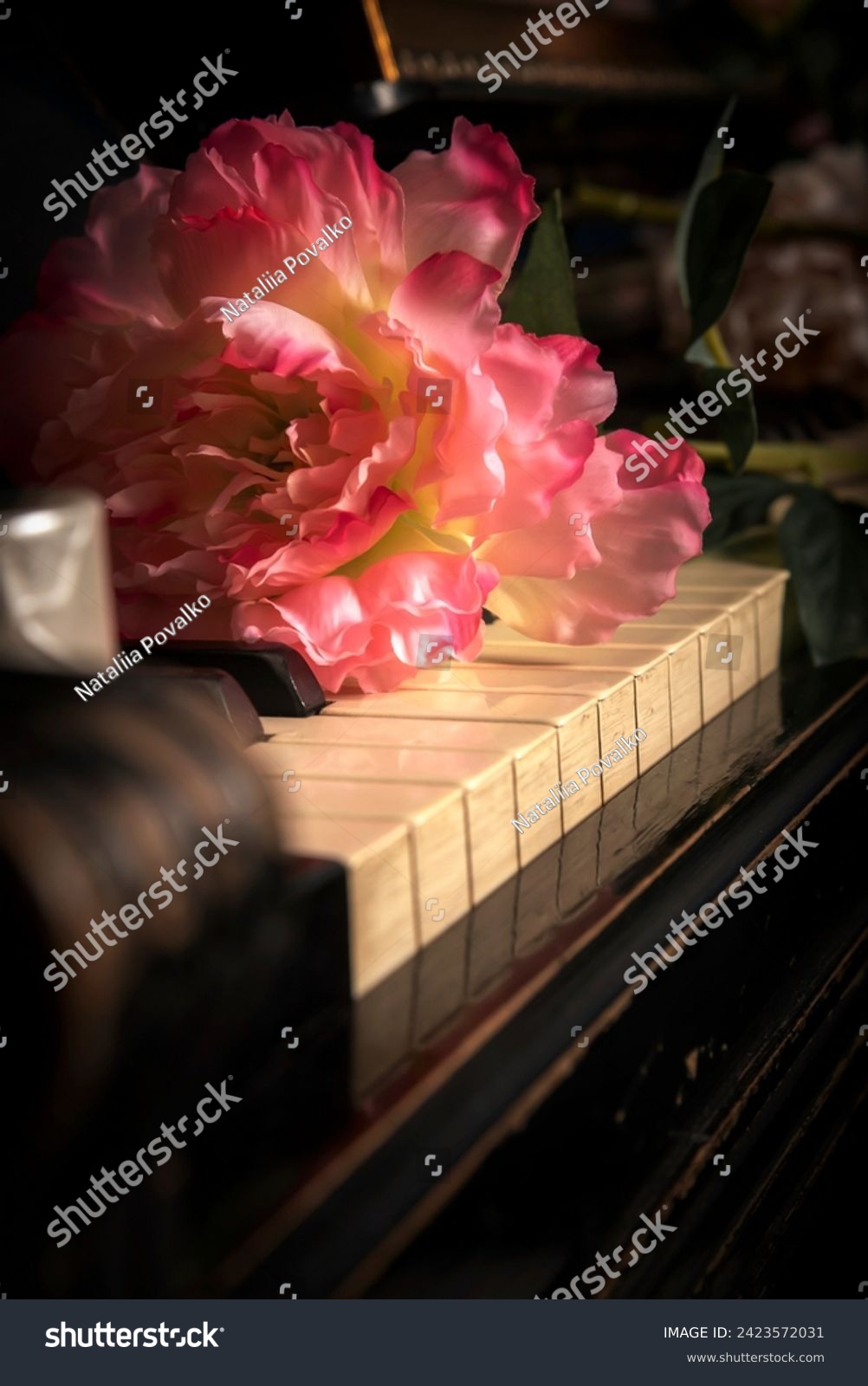 The combination of a rose and a piano, symbolizing the union of art and music in one frame. #2423572031