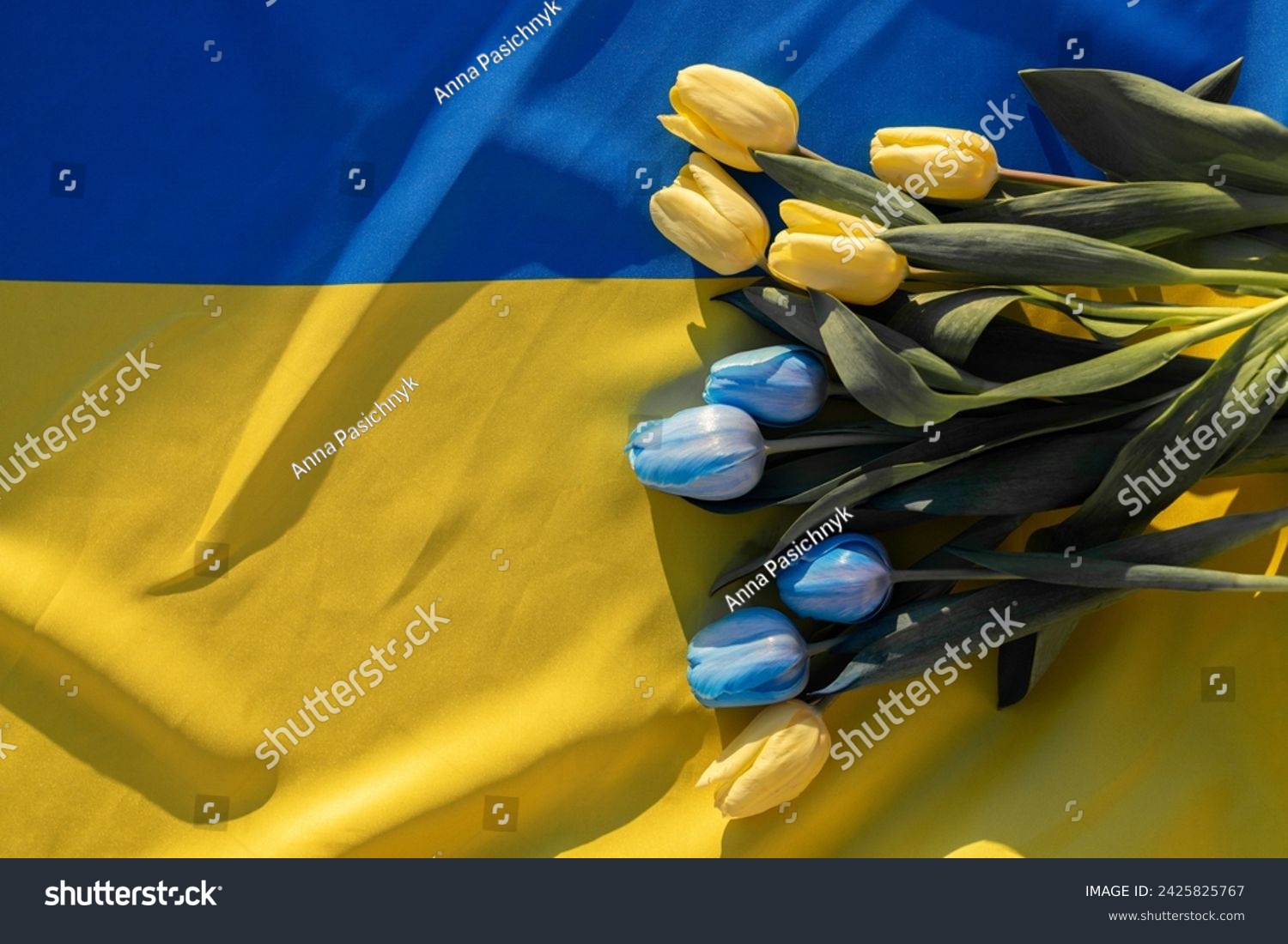 spring flowers of blue and yellow tulips lie on the Ukrainian flag. Ukraine will win and be reborn. Support for Ukraine. stop the war. Independence Day. Belief in victory #2425825767