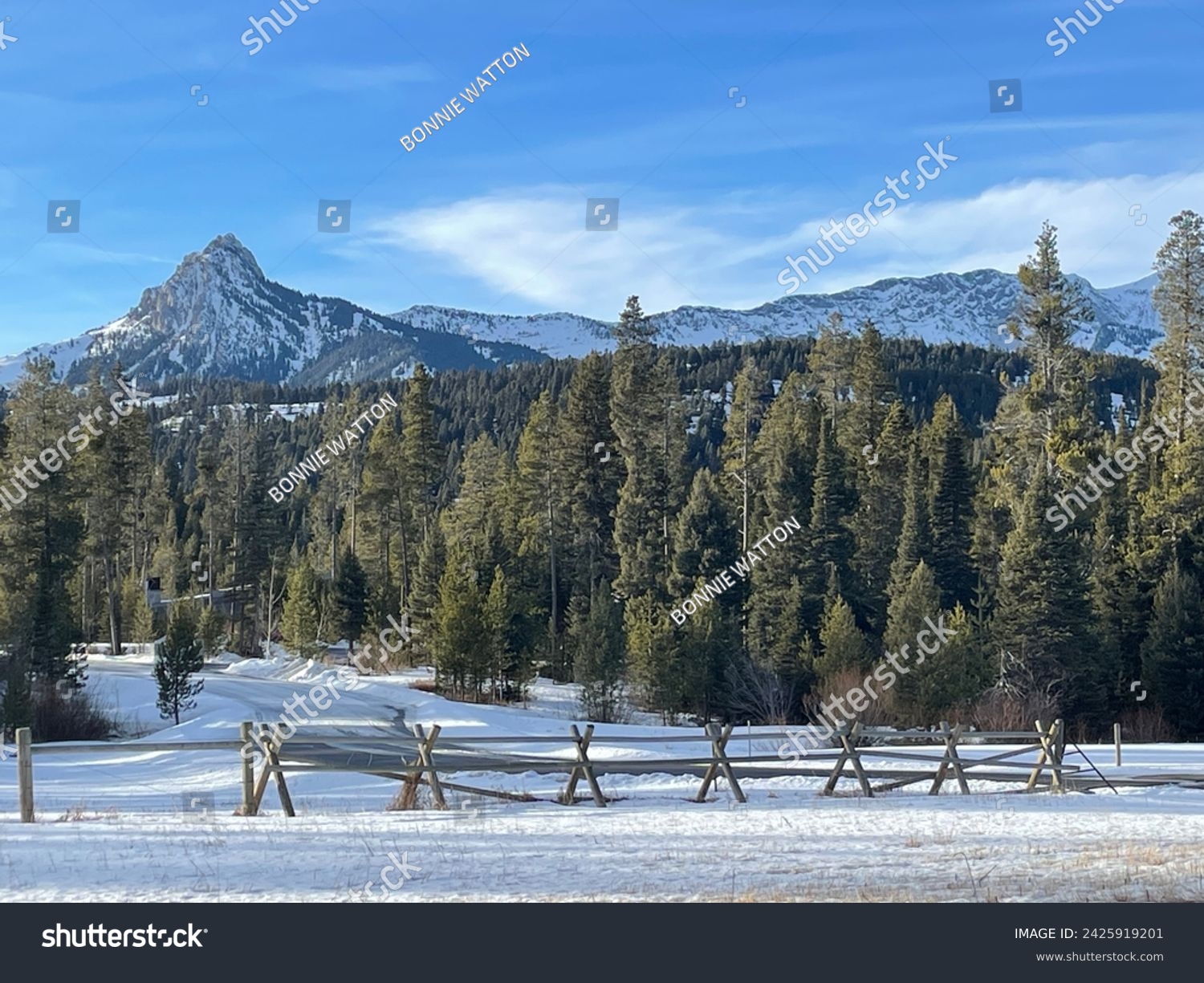 Winter mountain landscape with split rail fence along the road, row of evergreen trees and beautiful mountain peak in the distance #2425919201