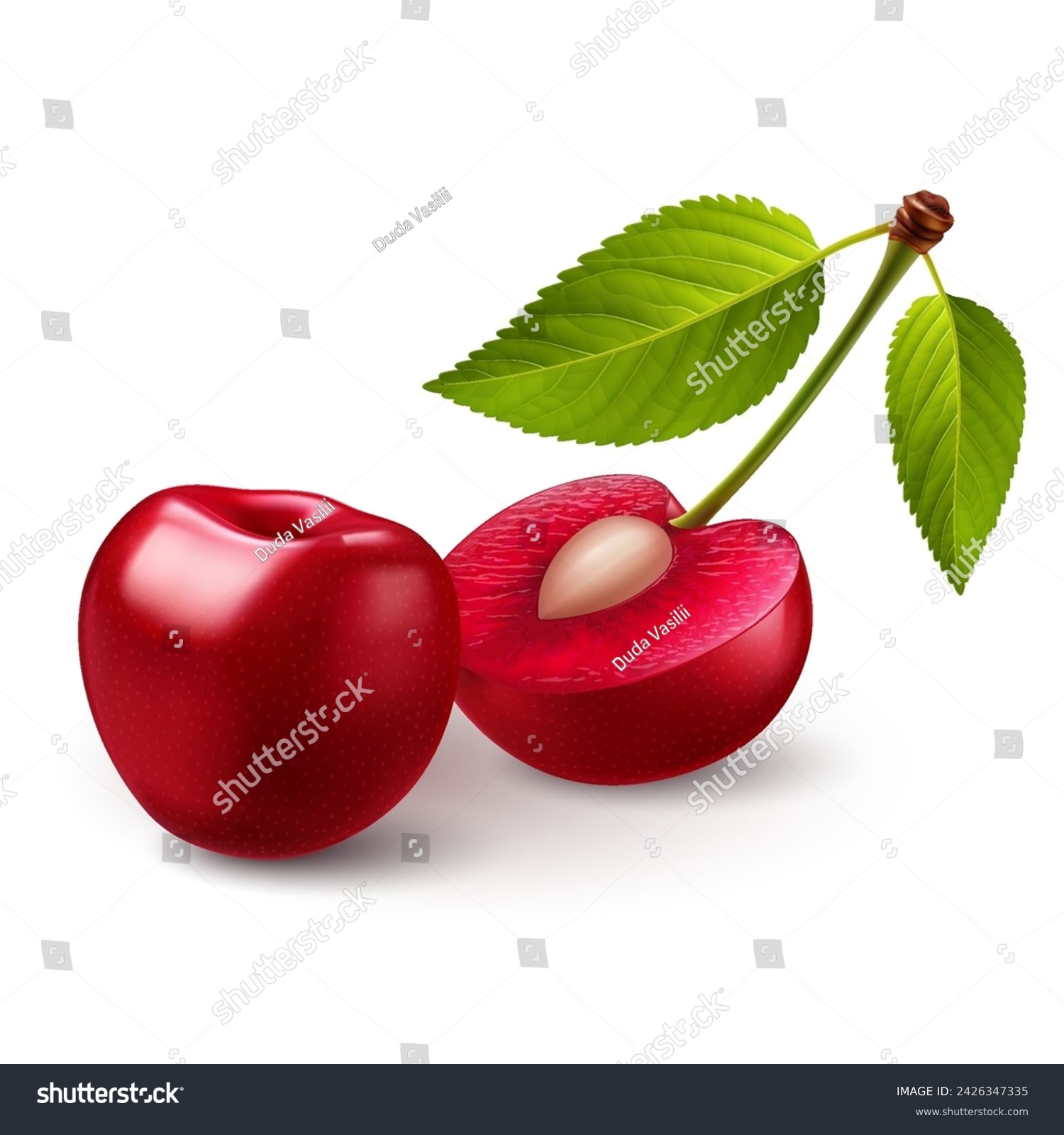 Ripe red sweet cherries with smooth skin, green leaves, juicy light red flesh, and small pits #2426347335