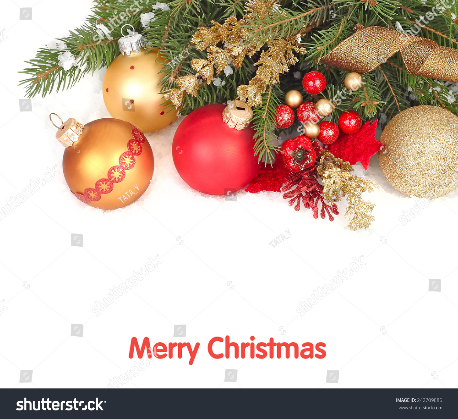Christmas background with red and golden Christmas balls on branches of a Christmas tree. #242709886