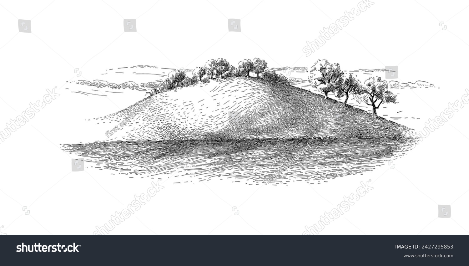 Green grass field on small hills. Meadow, alkali, lye, grassland, pommel, lea, pasturage, farm. Rural scenery landscape panorama of countryside pastures. Vector vintage sketch illustration #2427295853
