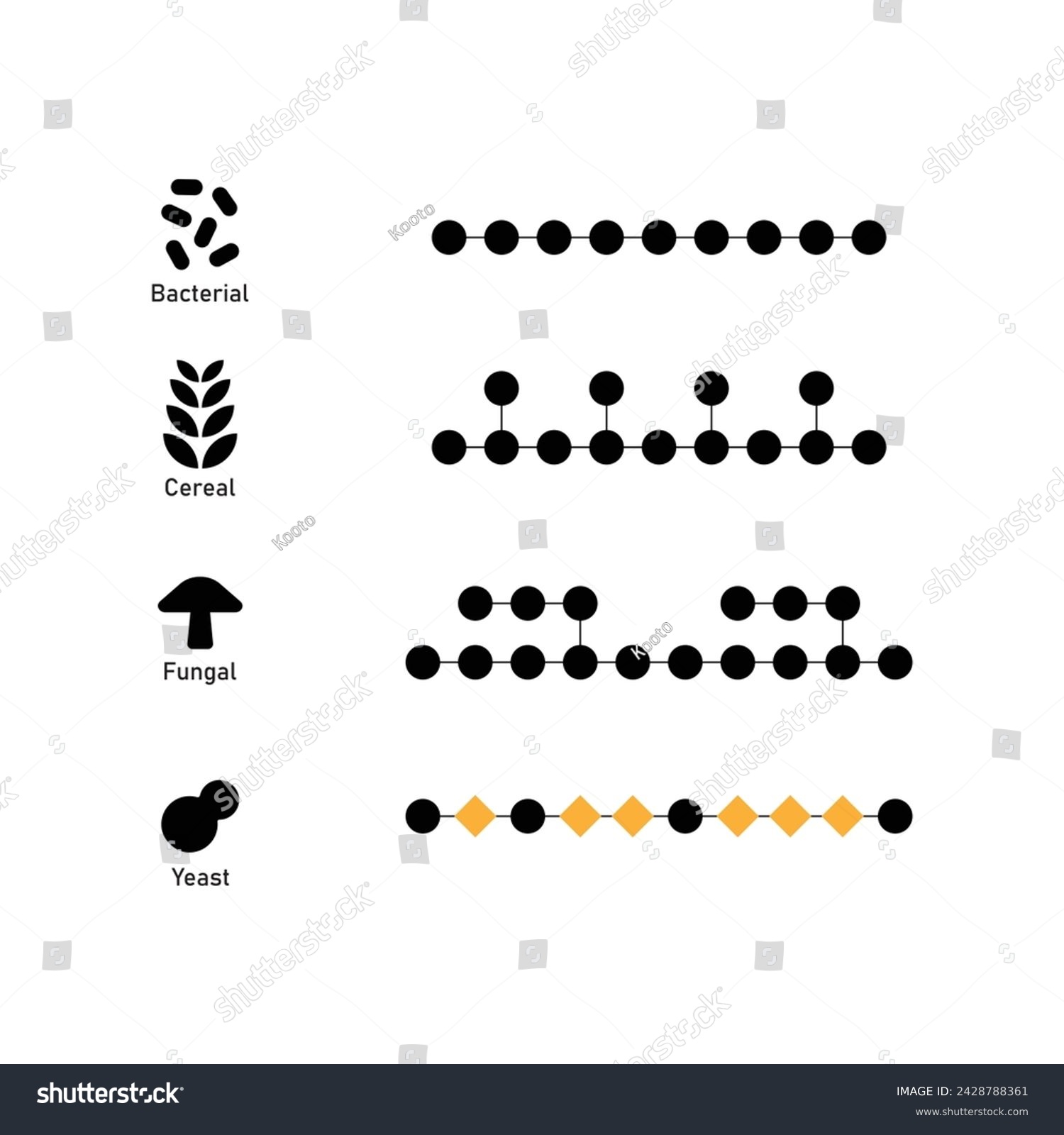 Types of Beta Glucan Molecule Structure - Royalty Free Stock Vector ...