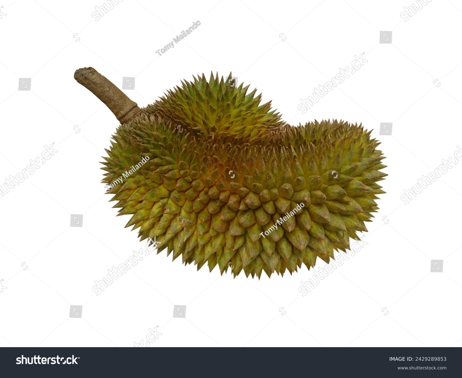 Indonesia Durian Fruit King Fruit Duren Lokal              #2429289853