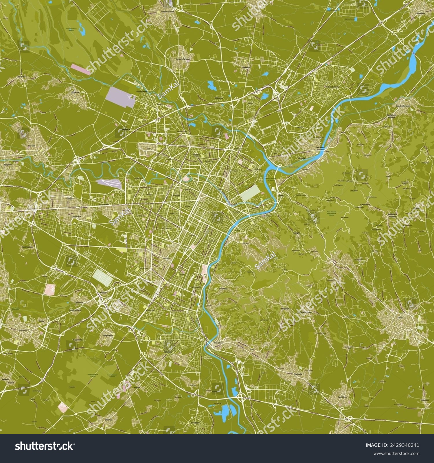 City map of Turin Italy Royalty - Avopix 2429340241