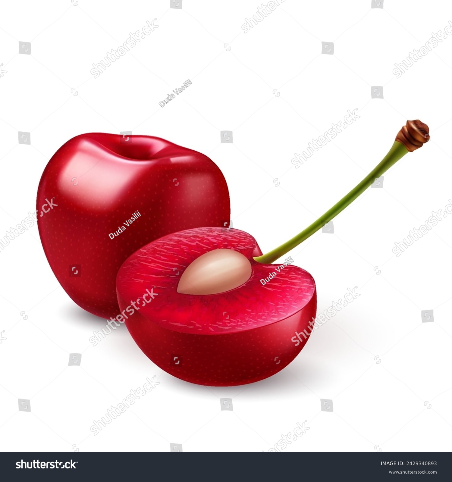 Illustration of smooth-skinned, ripe red sweet cherries, juicy light red flesh, and small pits, on a white backdrop #2429340893