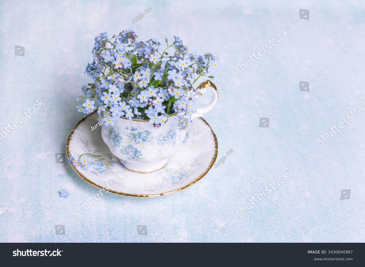Forget-me-not flowers in small vintage antique porcelain tea cup decorated with forget-me-not blossoms isolated on light blue color background, fresh forget me nots, copy space #2430640987