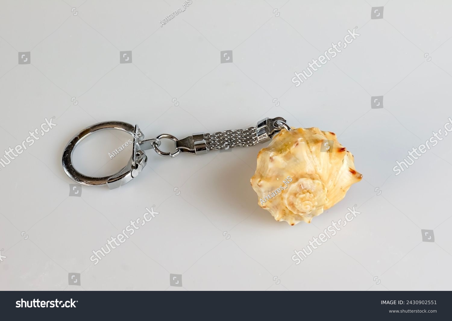 Keychain with rapana shell on a white background. #2430902551