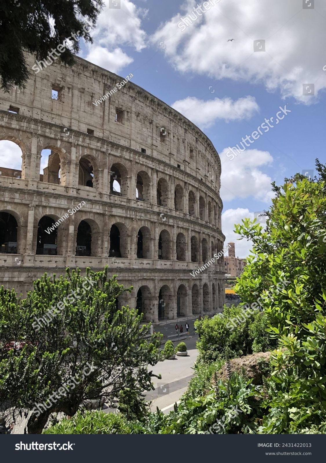 The coliseum in Rome - Italy #2431422013