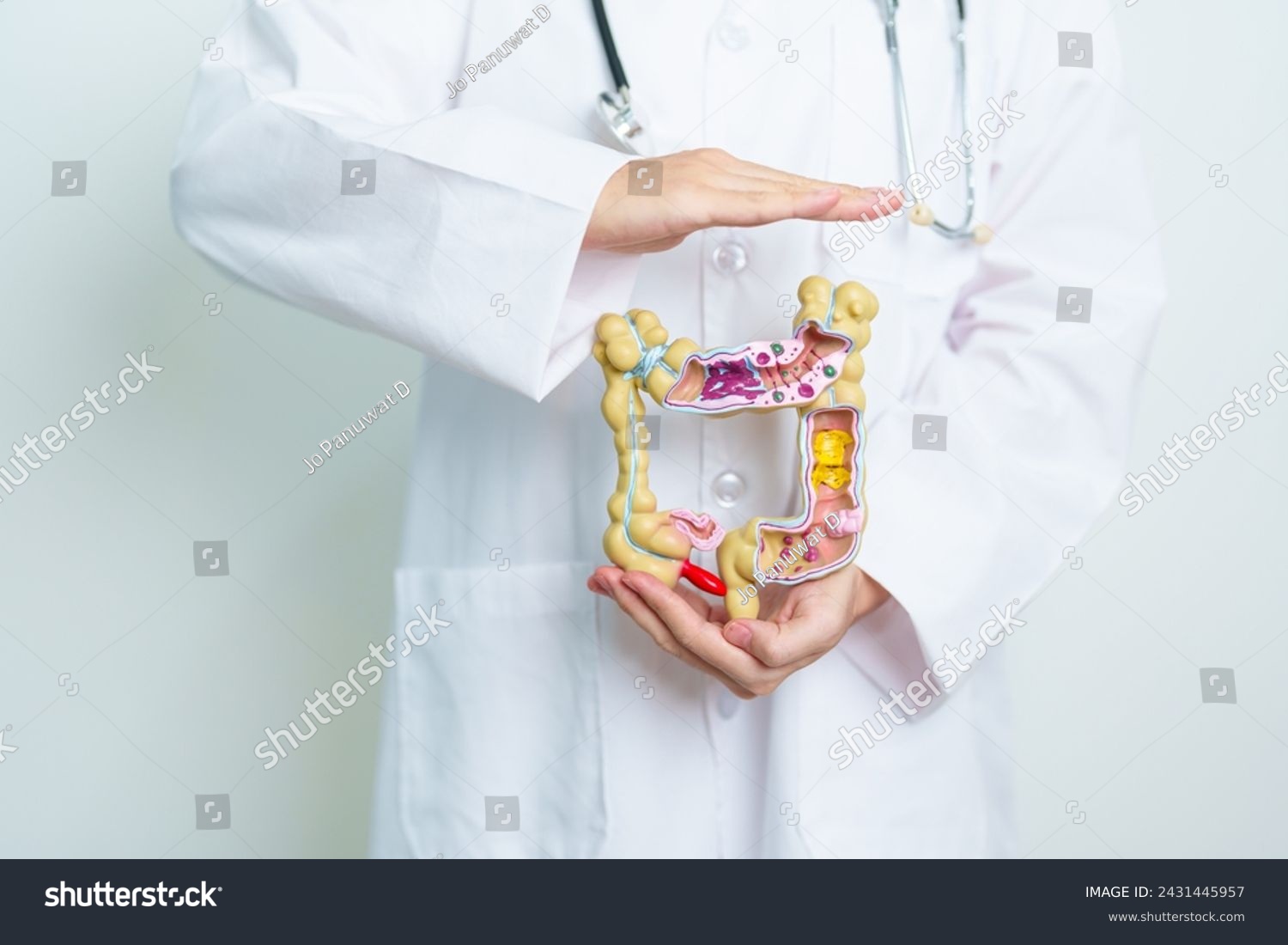 Doctor with human Colon anatomy model. Colonic disease, Large Intestine, Colorectal cancer, Ulcerative colitis, Diverticulitis, Irritable bowel syndrome, Digestive system and Health concept #2431445957