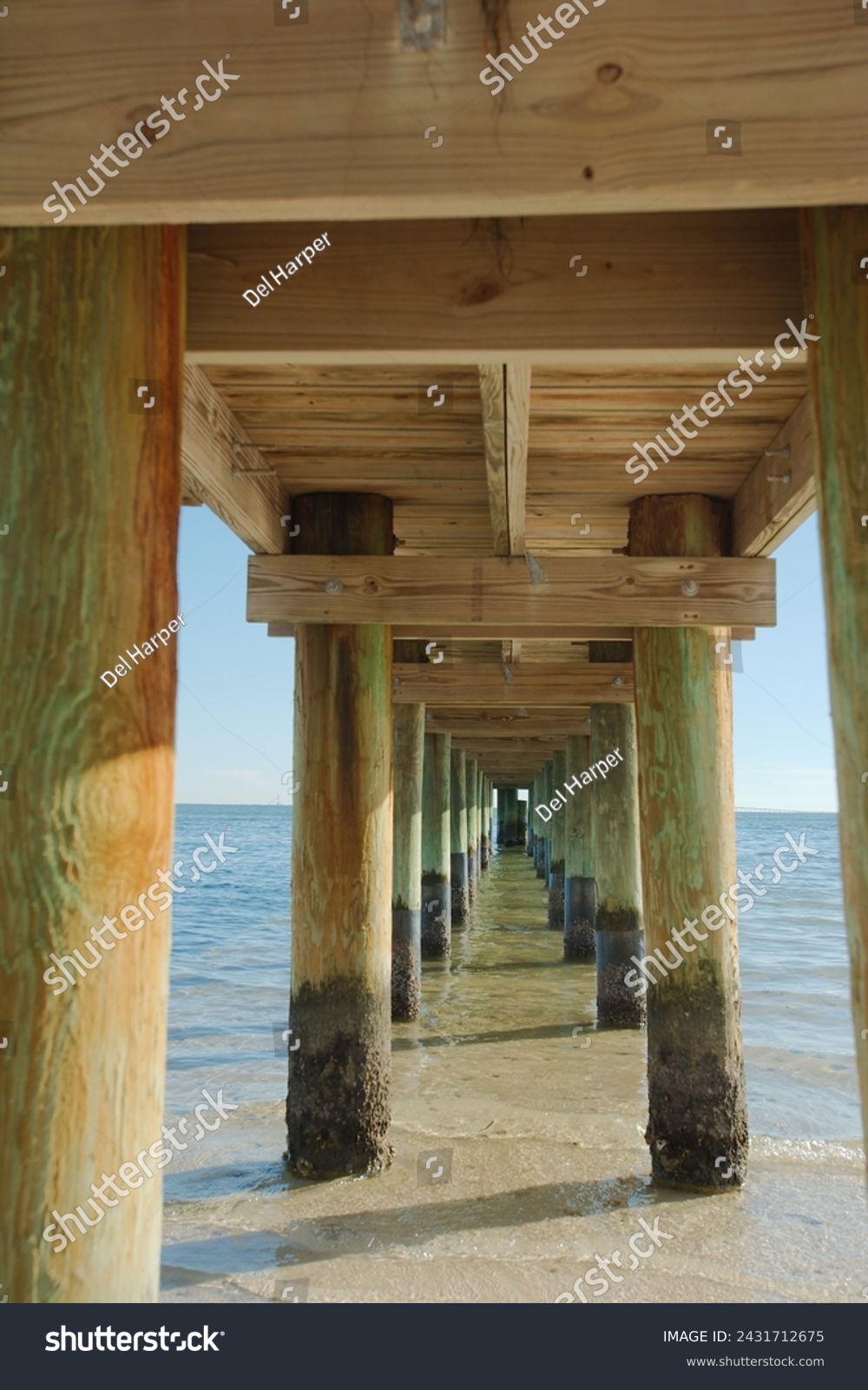 Vertical view under wood pier at Bay Vista Park in St. Petersburg, FL,  Sand, wood poles with high tide water marks leading out to Tampa Bay on a late sunny afternoon. No people with pilings.
 #2431712675