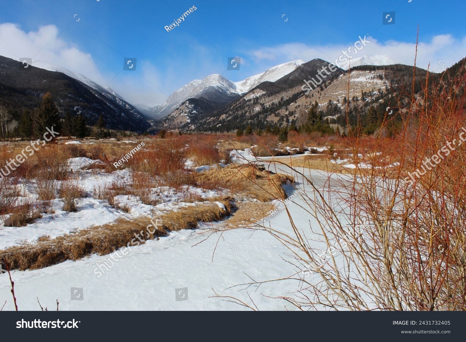 Snow in varying degrees in the high country in the Colorado Rockies.  Trees and snow in the foreground of the Mountains of Colorado.  Pockets of snow and drifts surrounded by dormant vegetation.   #2431732405