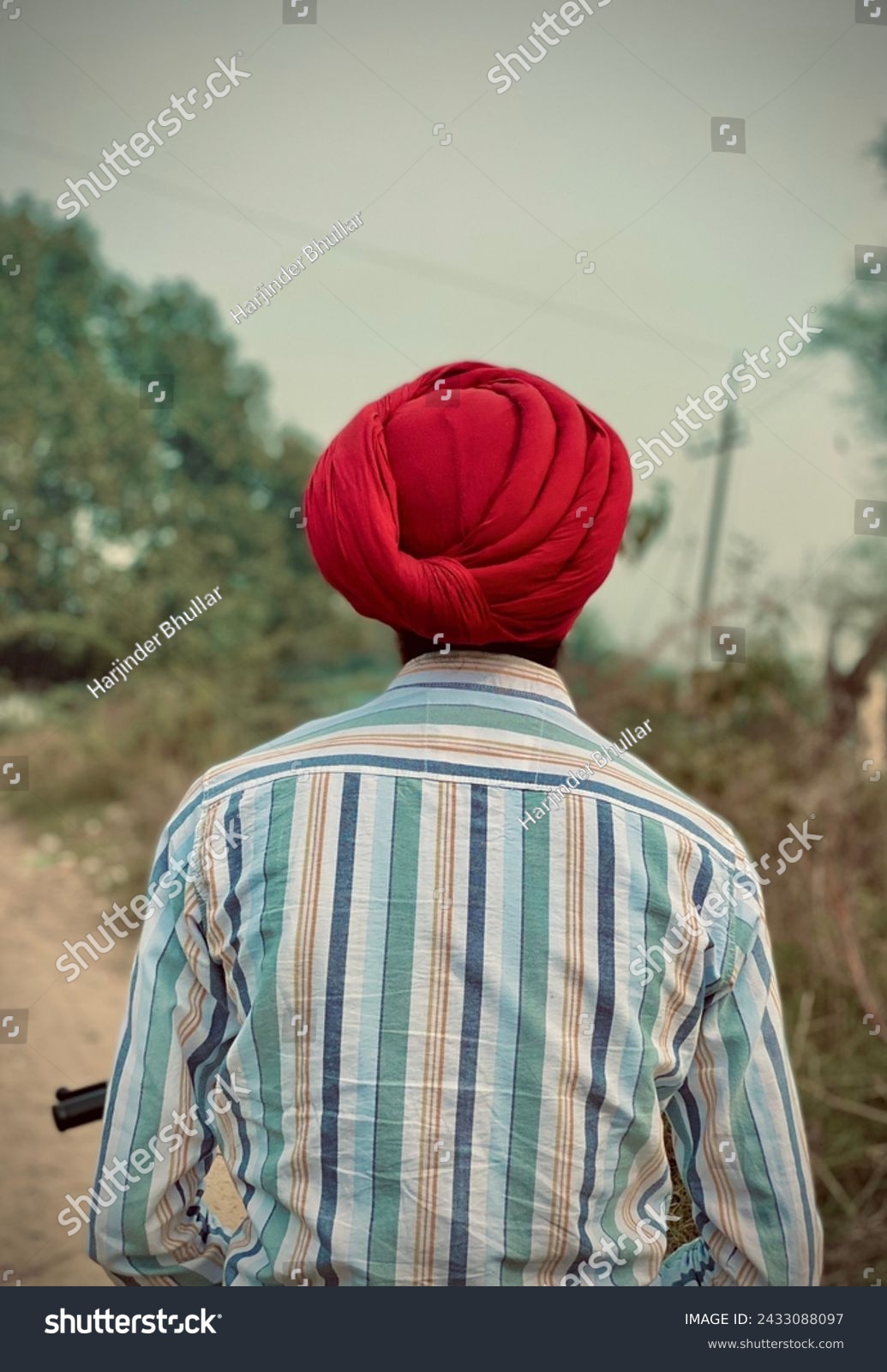 Back side view of Punjabi man wearing a red turban and lining shirt 👔 #2433088097