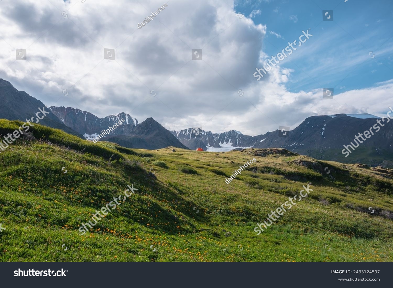 Wonderful blooming orange flowers and vivid orange tent on grassy hill in sunlight against snow mountain range silhouette. Colorful amazing scenery with lush alpine flora on sunlit flowering meadow. #2433124597