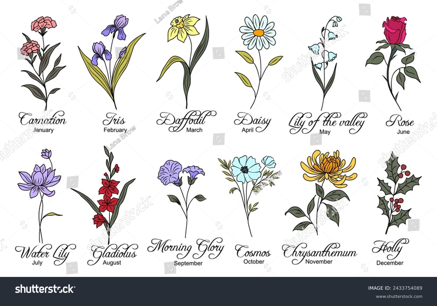 Set of birth month flowers vector illustrations. - Royalty Free Stock ...